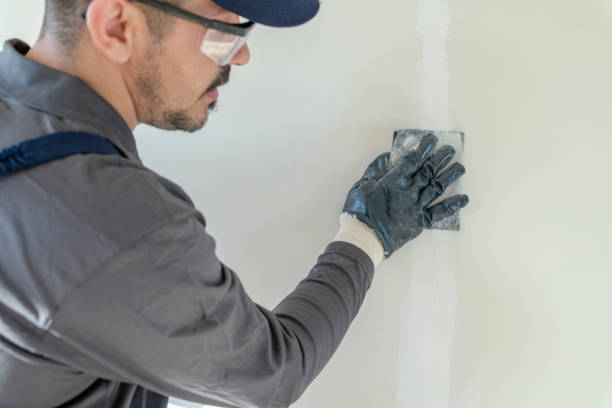 Best Biohazard Mold Removal  in Grayvle, IL