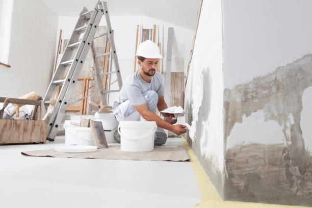 Trusted Grayville, IL Mold Removal Experts