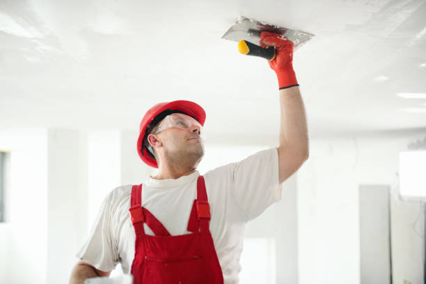 Best Post-Remediation Verification Testing  in Grayvle, IL