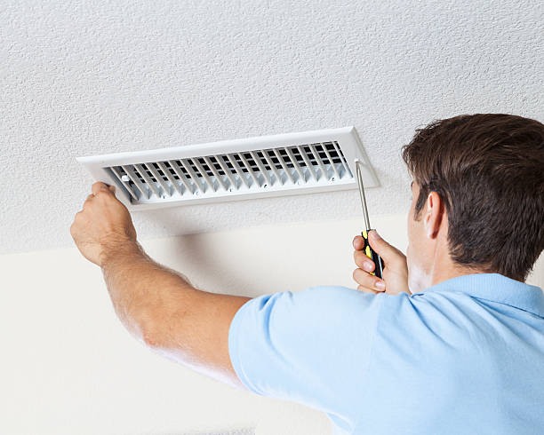 Best Attic Mold Removal  in Grayvle, IL