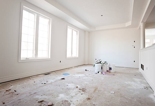 Reliable Grayville, IL Mold Removal Solutions